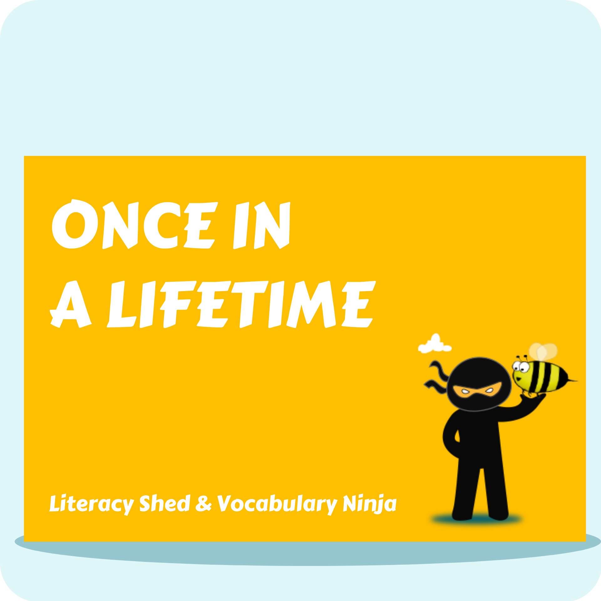 Once in a Lifetime