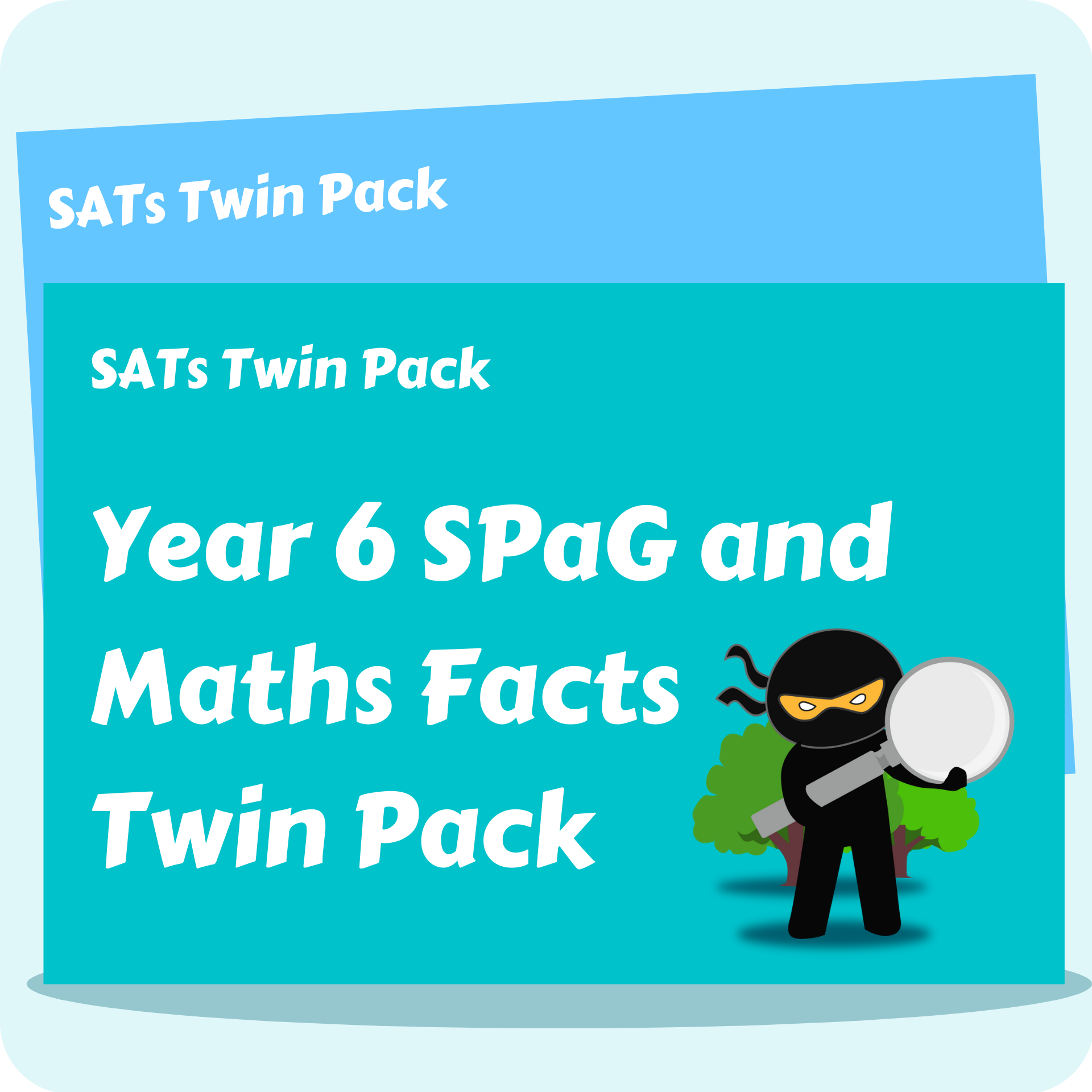 Y6 SPaG and Maths Facts Twin Pack