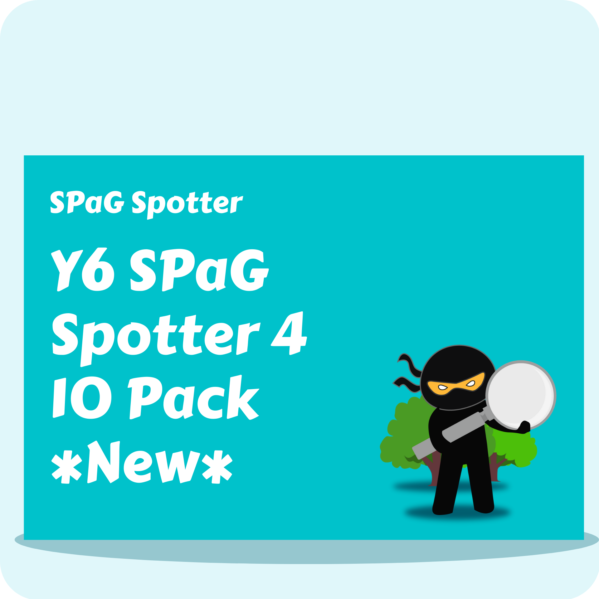 Y6 SPaG Spotter 4 - 10 Pack *New*
