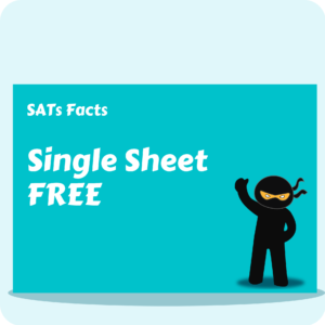 Maths SATs Facts - Single Sheet