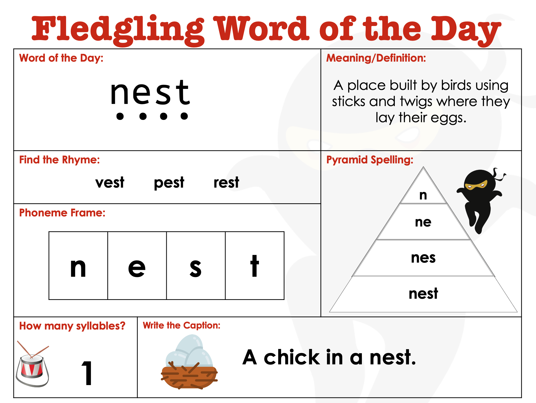 EYFS Word of the Day