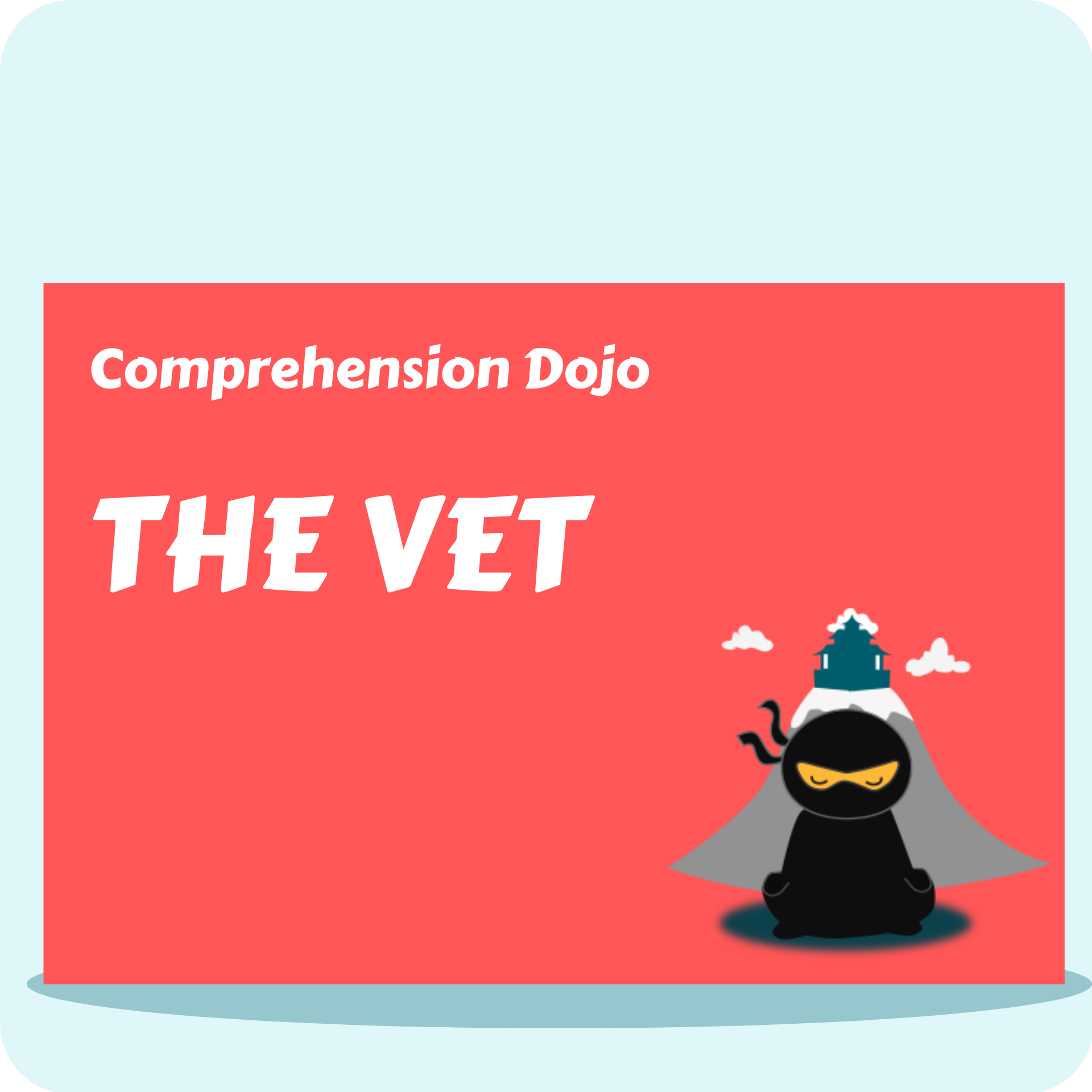 Comprehension Dojo - The Vet