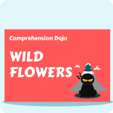 Comprehension Dojo - Wild Flowers