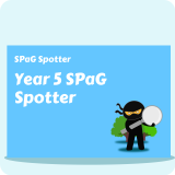 Y5 SPaG Spotter