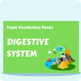 Digestive System Topic Vocabulary Pack