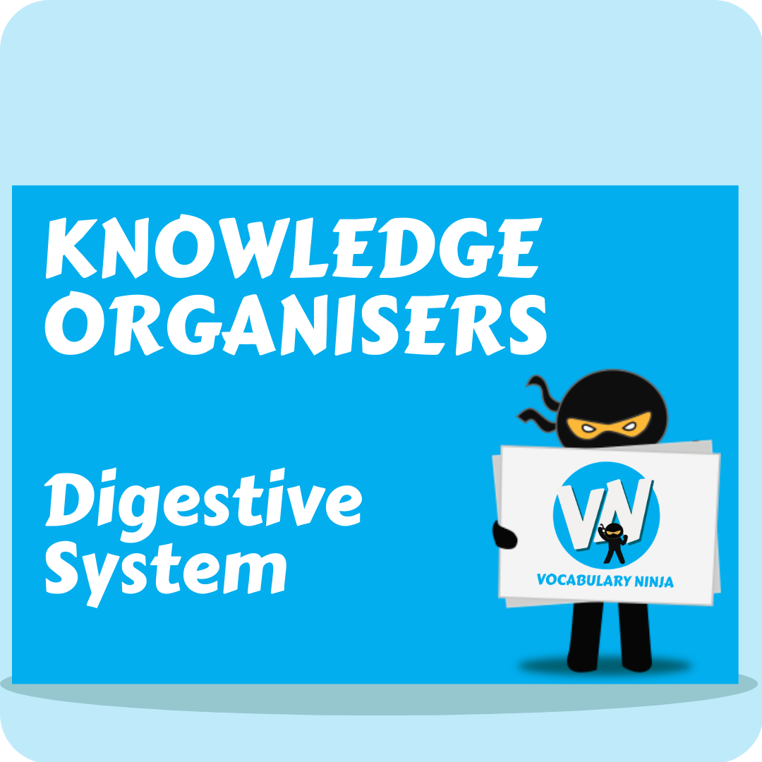 Digestive System Knowledge Organiser