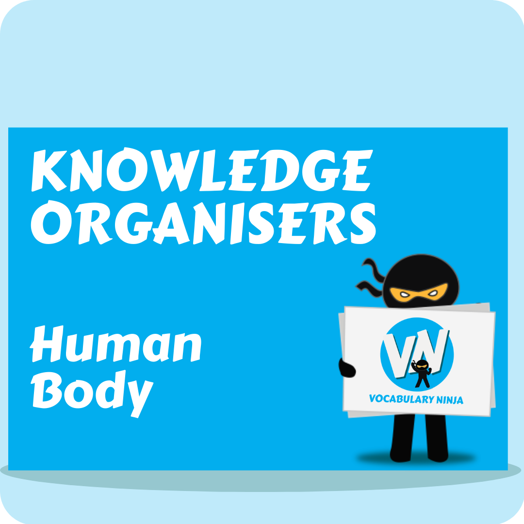 Human Body Knowledge Organiser