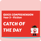 Quick Comprehension - Year 3 - Fiction - Catch of the Day