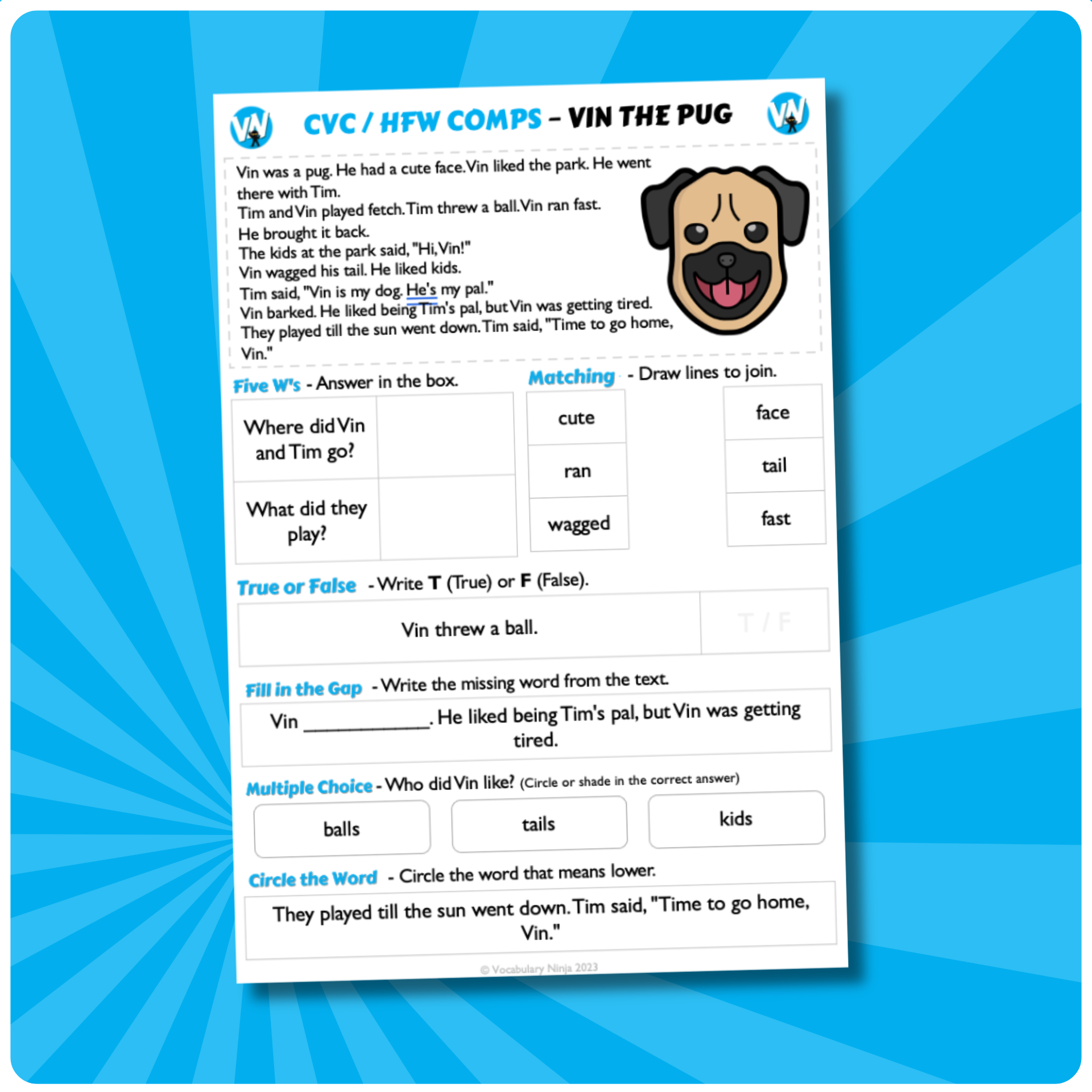 Vin the Pug - CVC / HFW QC