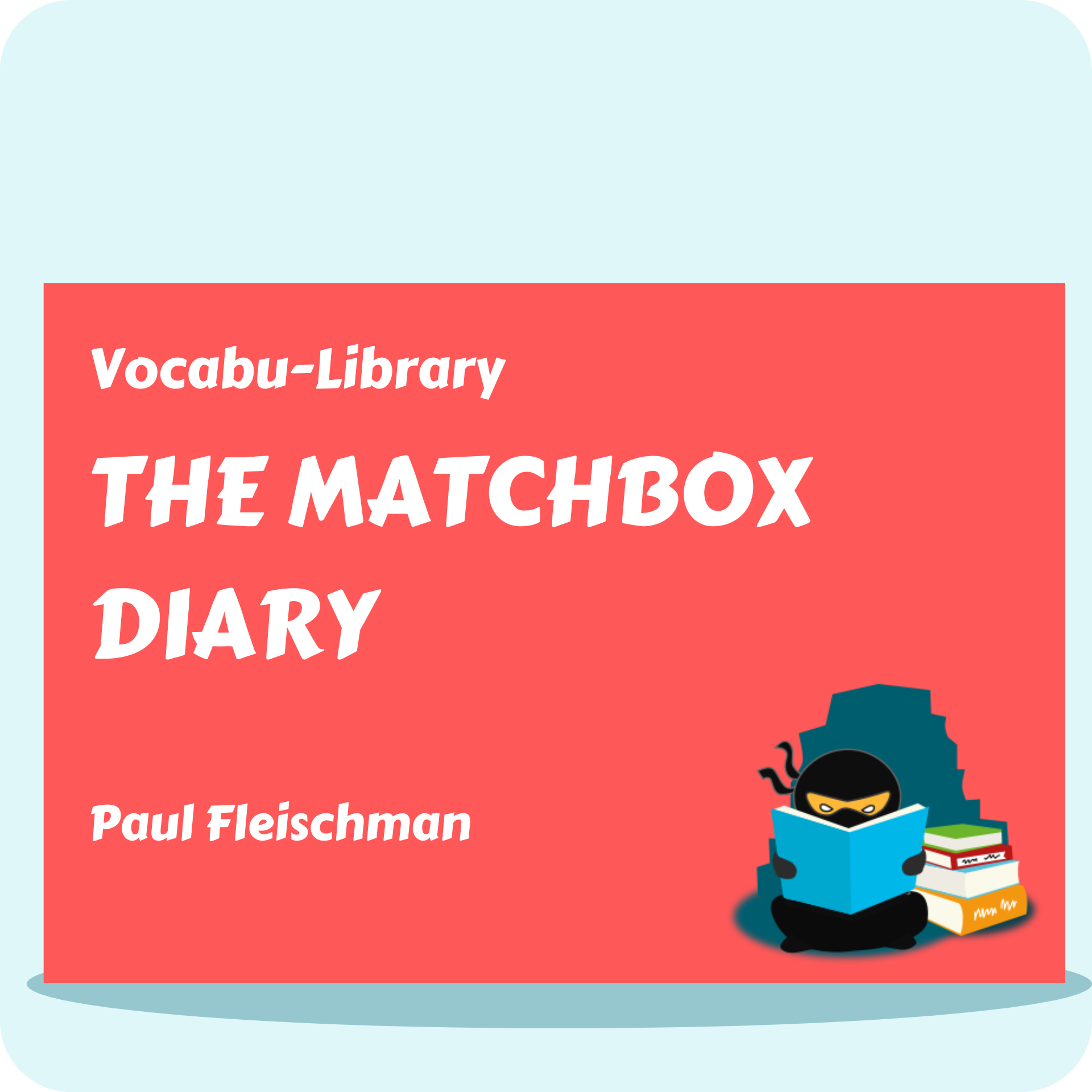 The Matchbox Diary