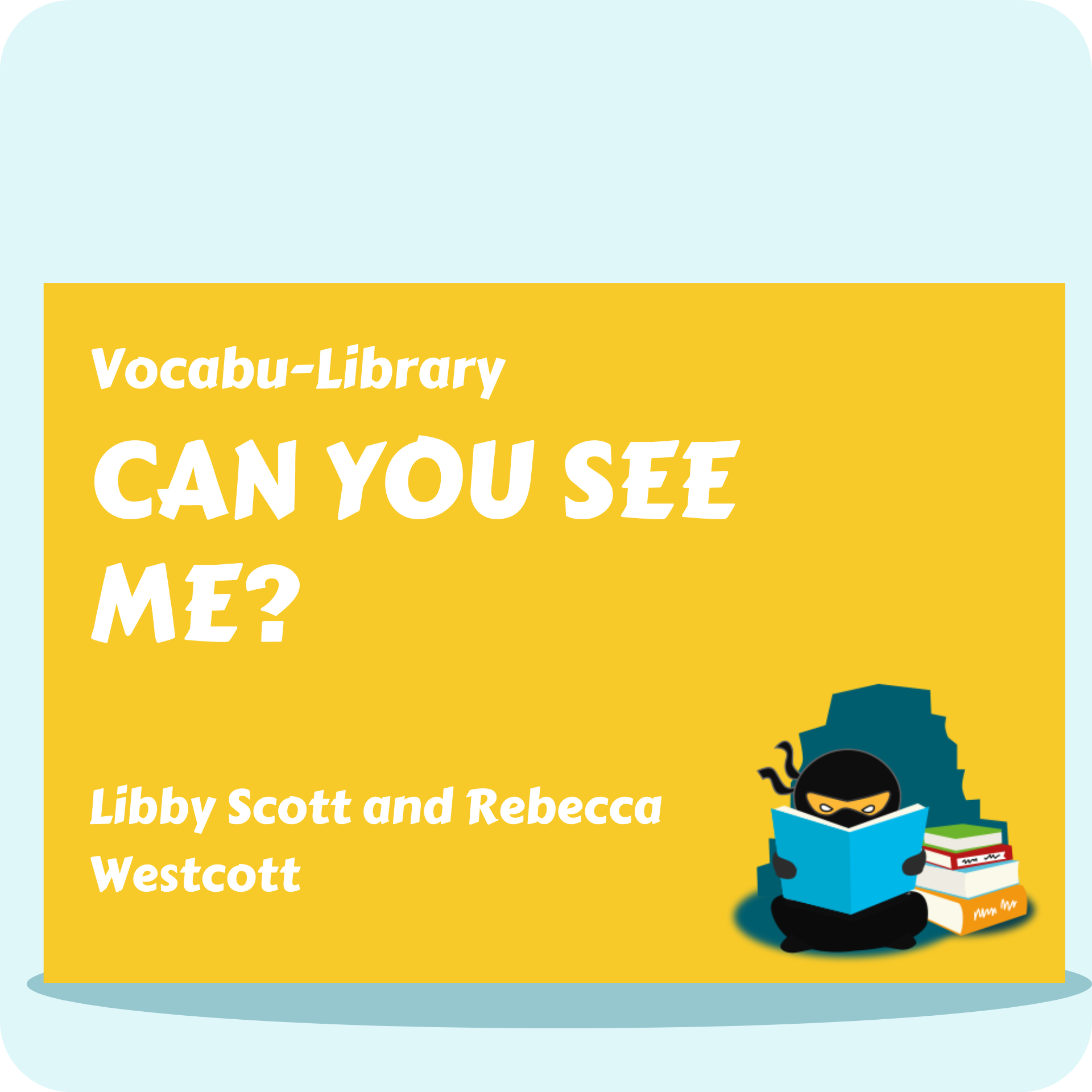 Can You See Me?