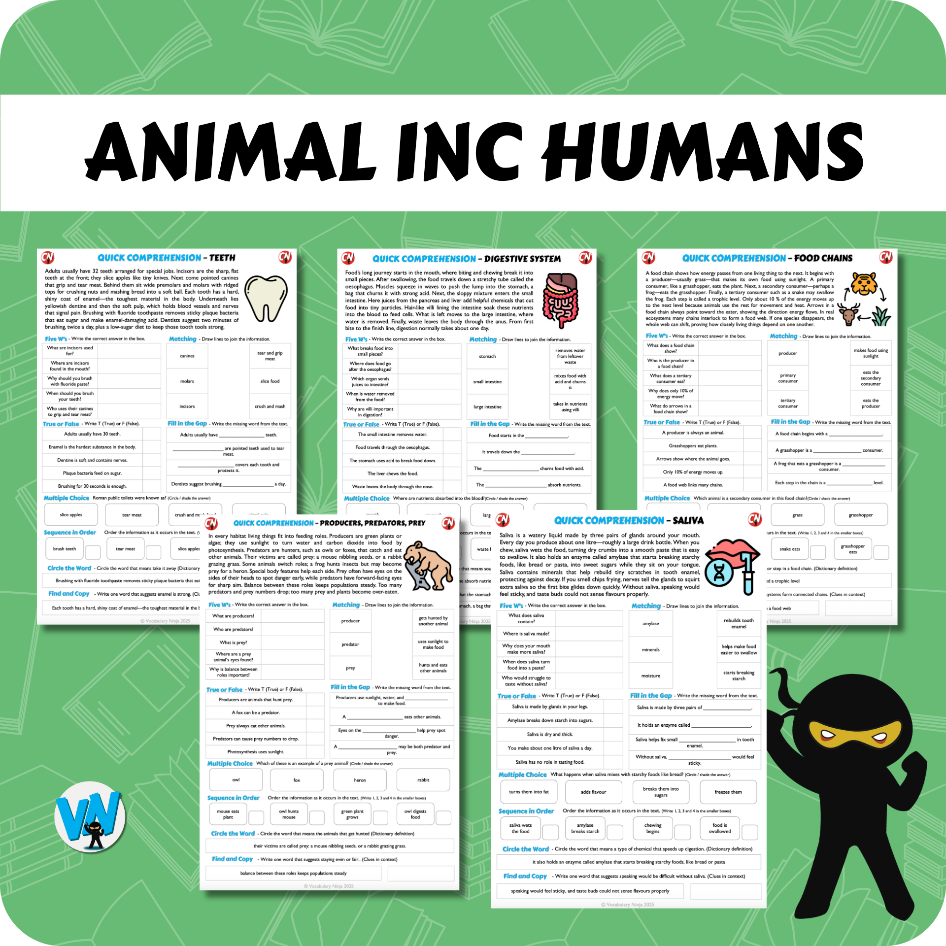 Quick Comprehension Topic Bundle - Y4 Animals and Humans