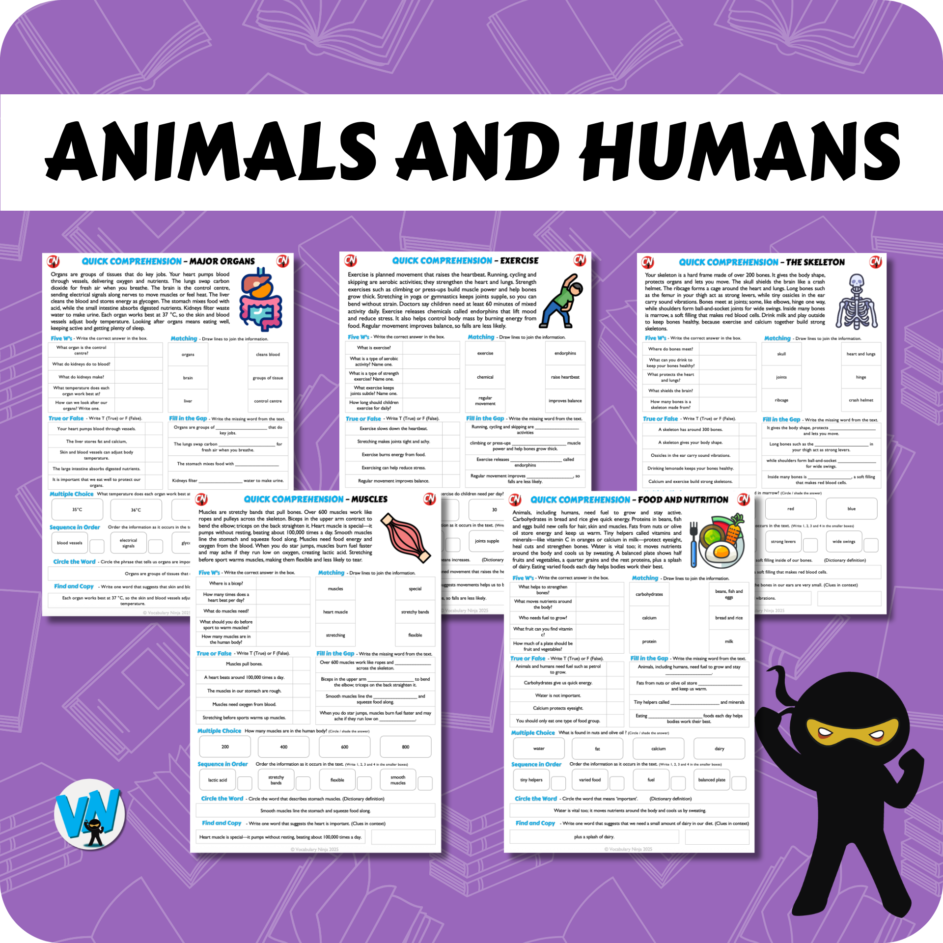Quick Comprehension Topic Bundle - Y3 Animals and Humans